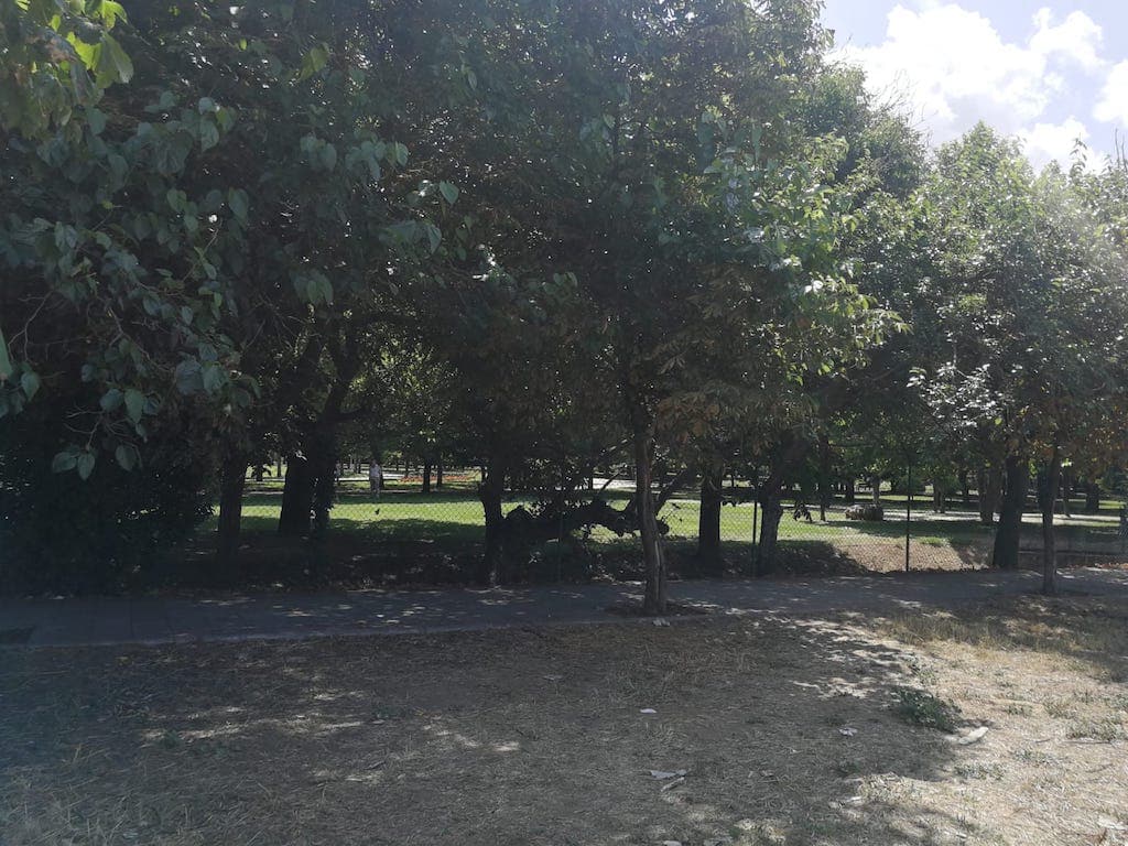 Área de La Granja