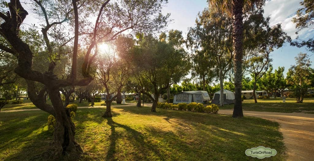 Camping Las Palmeras