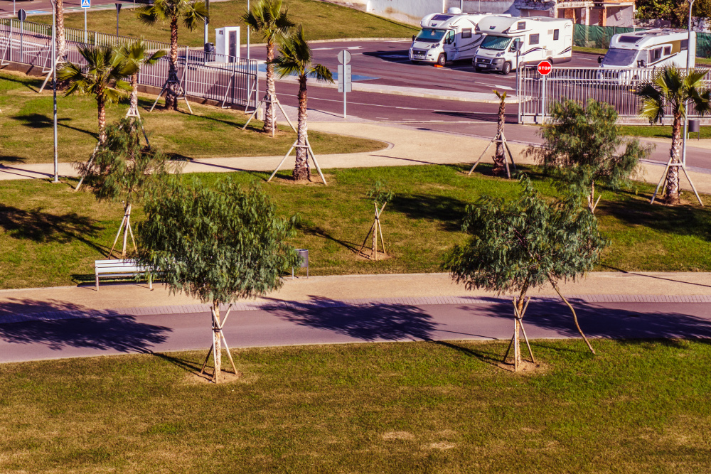 Área del Parque del Guadiana
