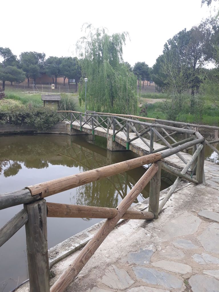 Área del Parque Las Quinientas