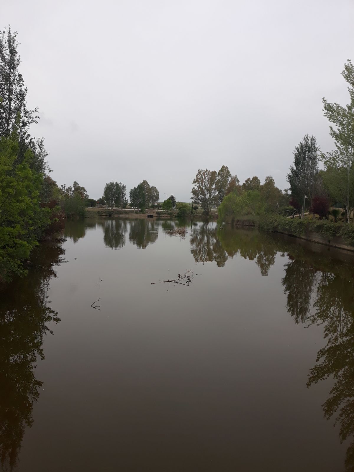 Área del Parque Las Quinientas