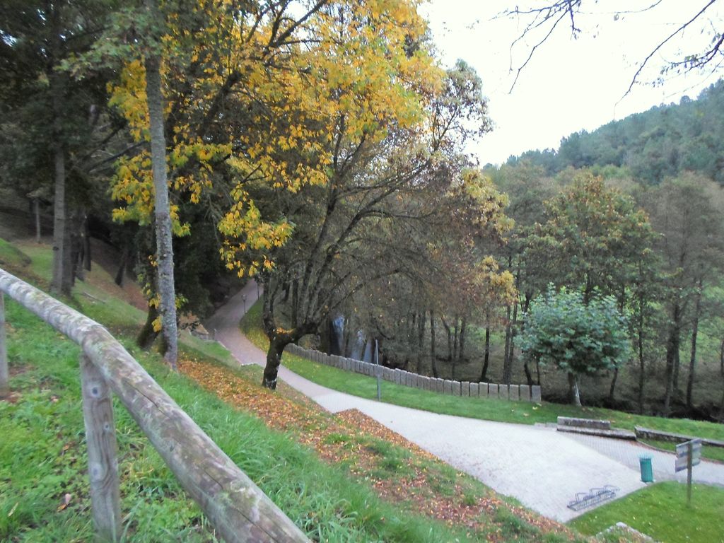 Área de Chantada