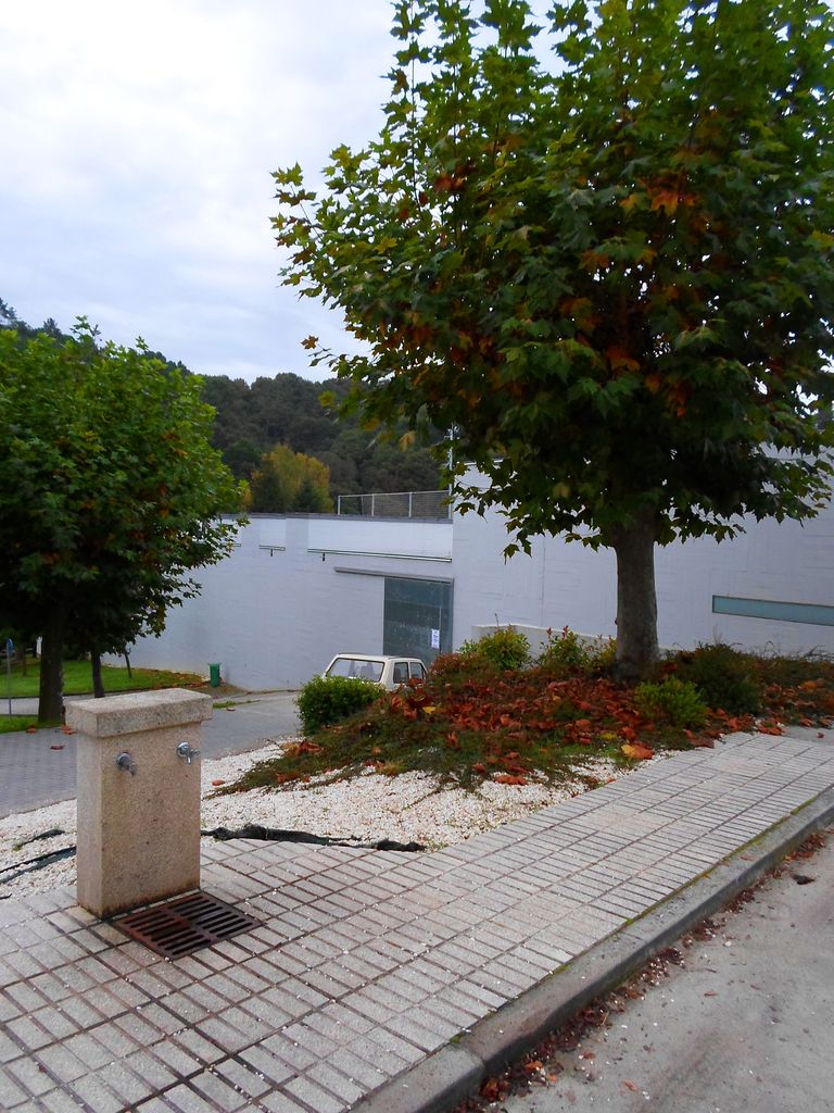 Área de Chantada