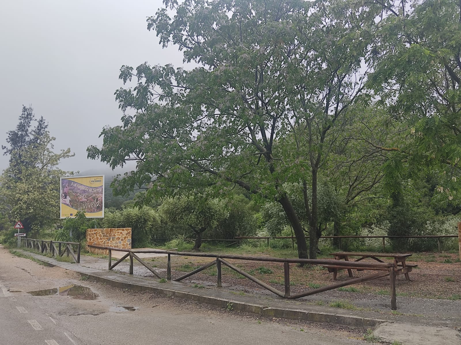 Área de Coripe