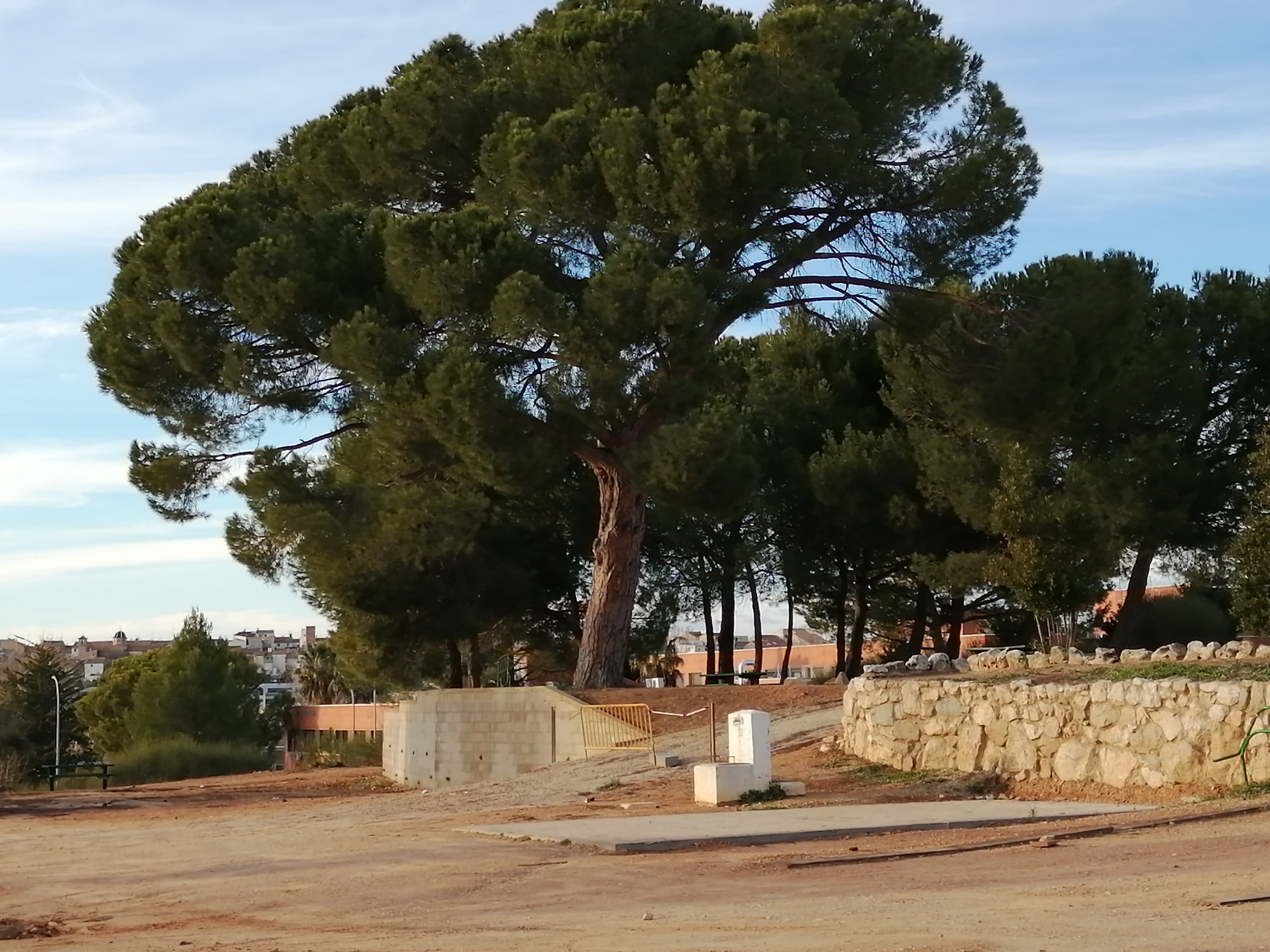 Área de Requena