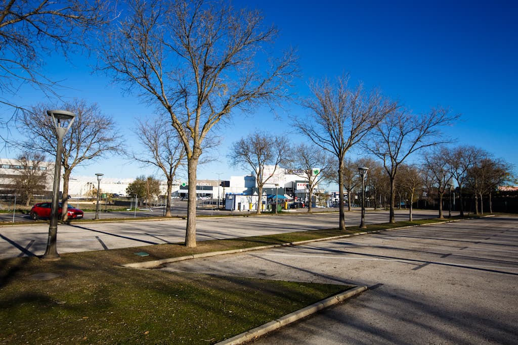 Área de Pinto
