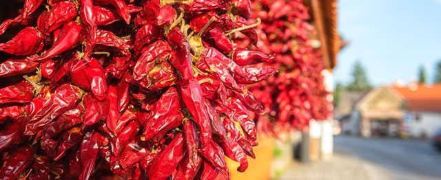 Visita a la fábrica de pimentón de La Vera “La Chinata”
