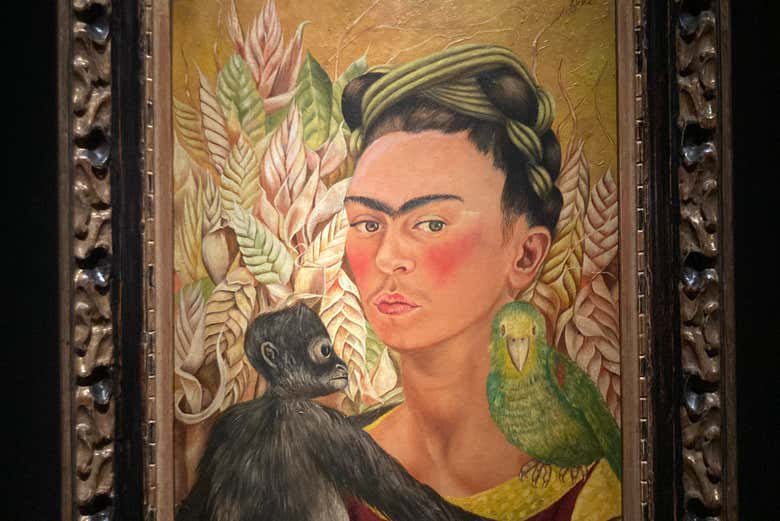Visita guiada por el Museo de Arte Latinoamericano de Buenos Aires