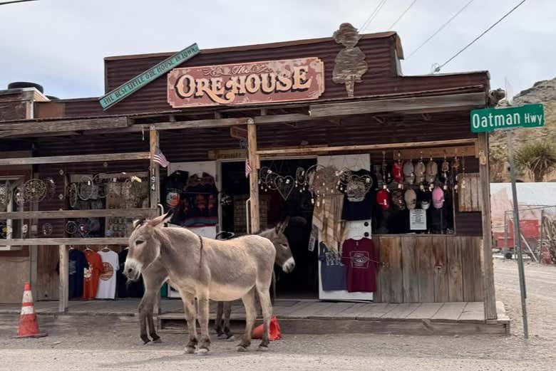 Excursión a Nelson, Oatman y la Ruta 66
