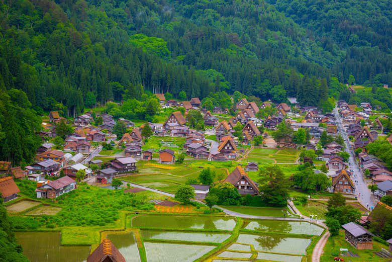 Tour por Kanazawa y Shirakawago con guía