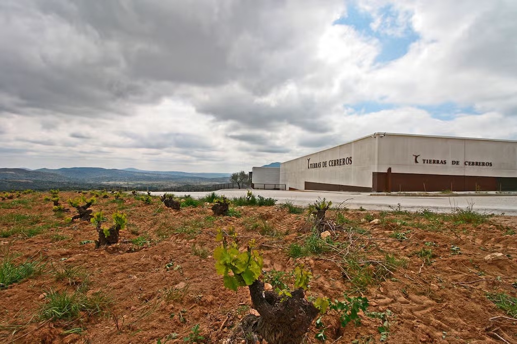 Visita a las bodegas Tierras de Cebreros