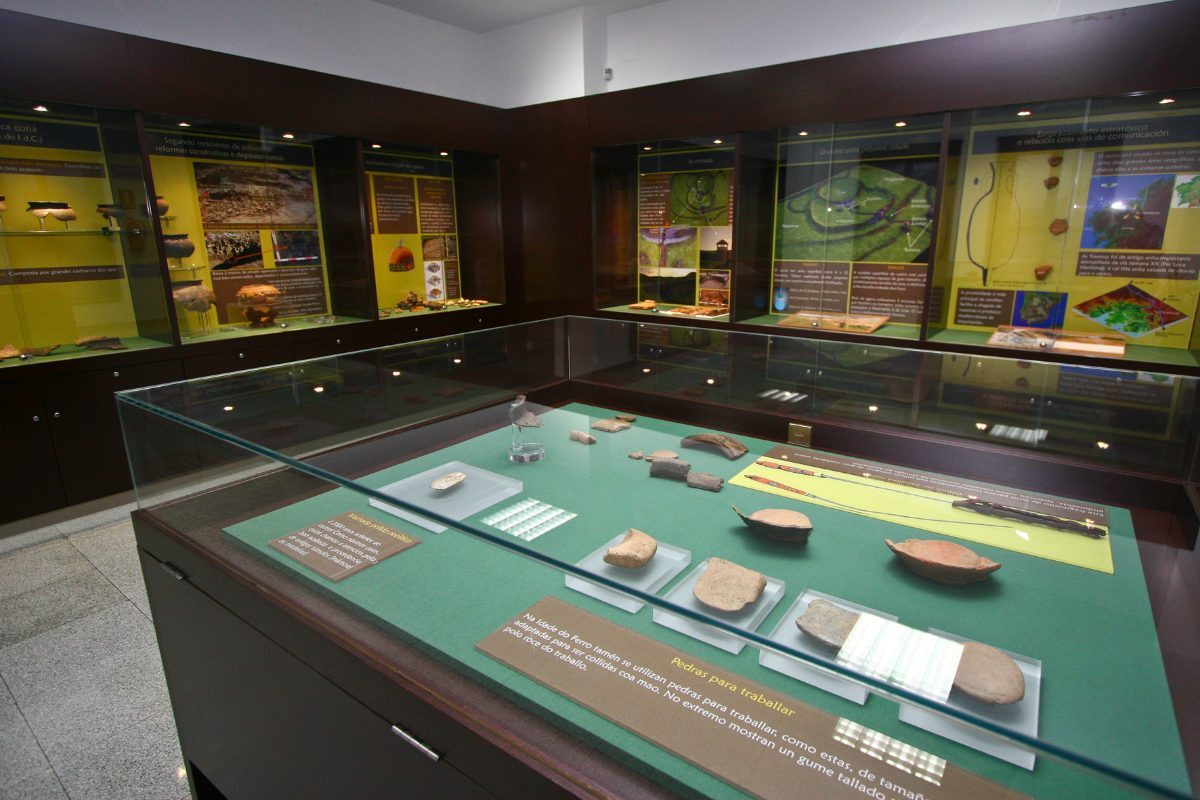 Colección Museográfica del Castro Das Travesas