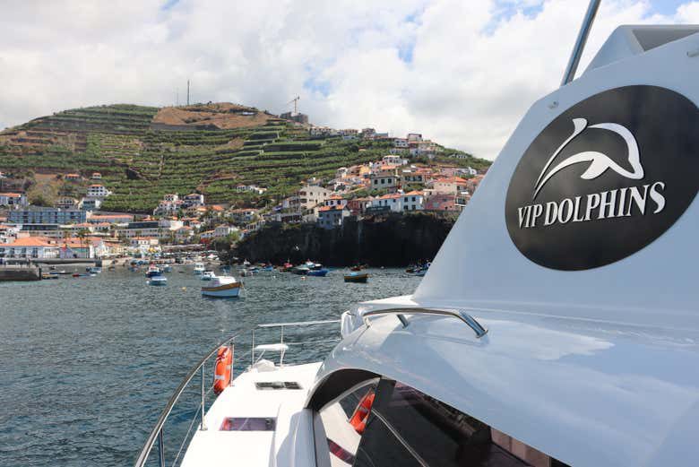 Avistamiento de delfines en Cabo Girão