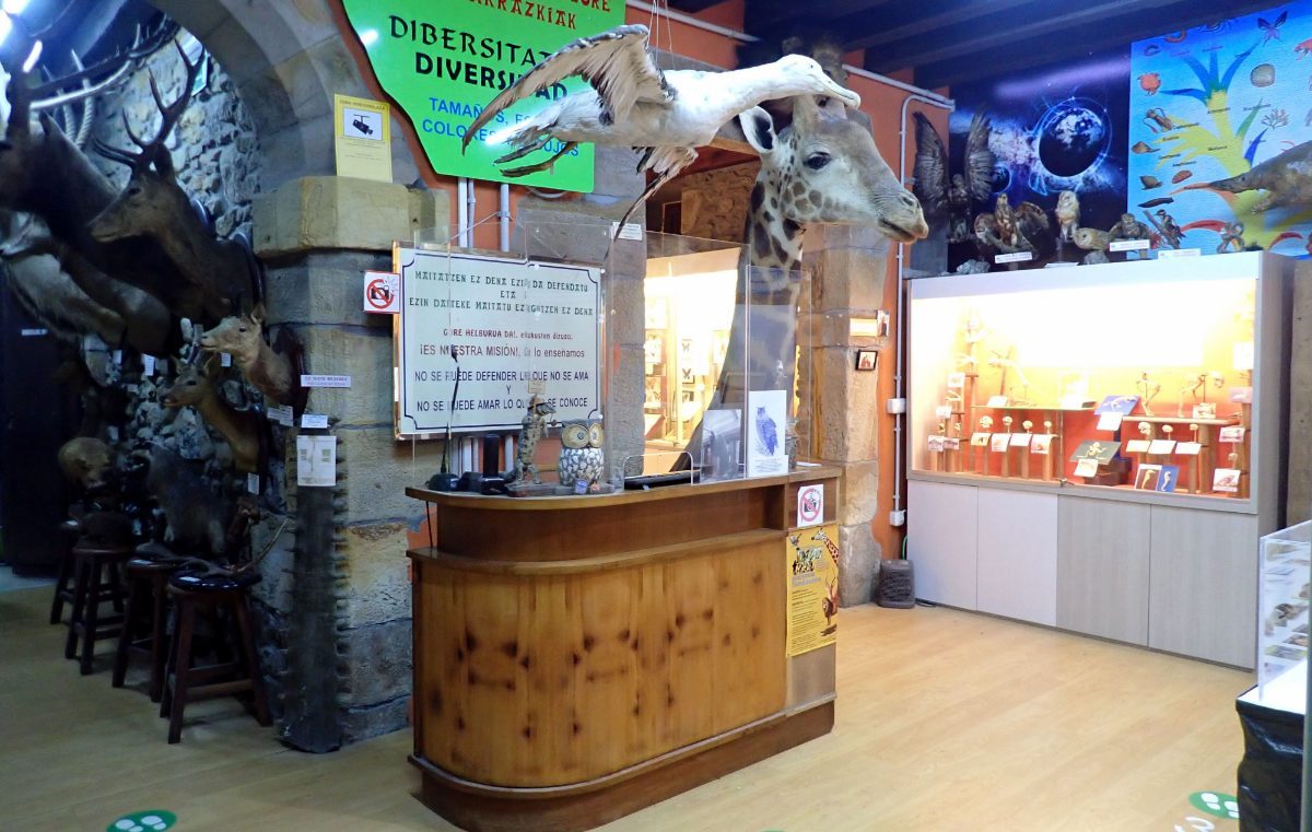 Hontza Museoa