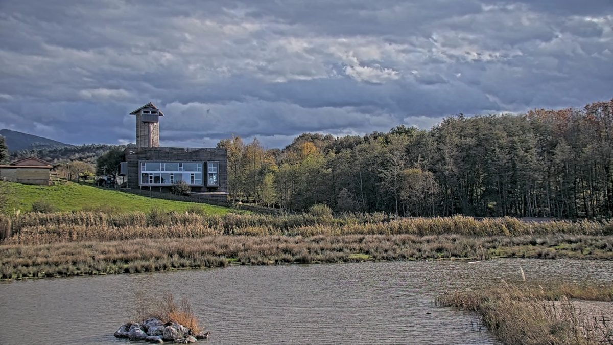 Urdaibai Bird Center
