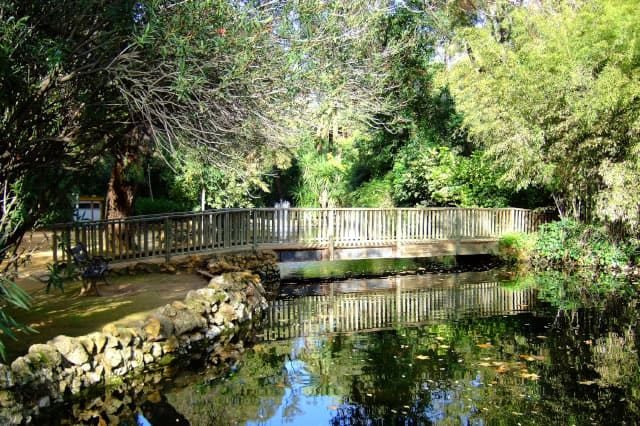 Foto 6 de Secretos del Parque María Luisa y Plaza de España