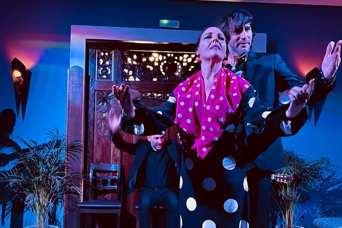 Foto 6 de Espectáculo de Flamenco en Triana