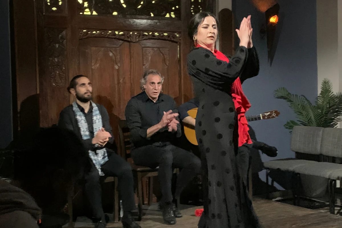 Foto 8 de Espectáculo de Flamenco en Triana
