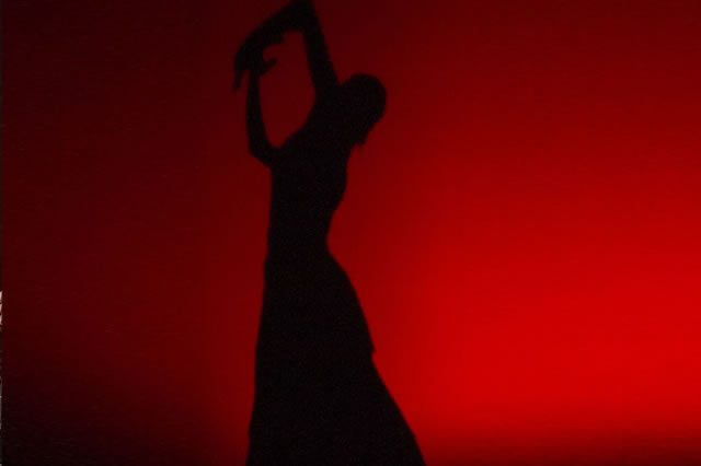 Foto 6 de Espectáculo de Flamenco Sevilla