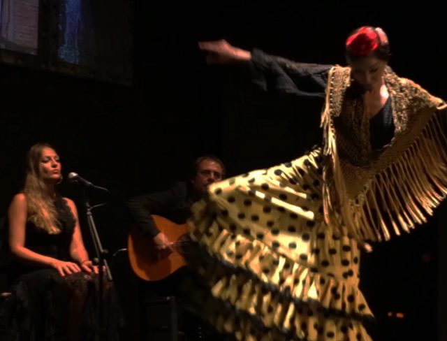 Foto 5 de Espectáculo de Flamenco Sevilla