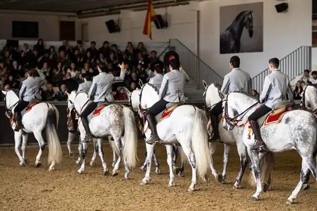 Foto 6 de Espectáculo Ecuestre en Sevilla