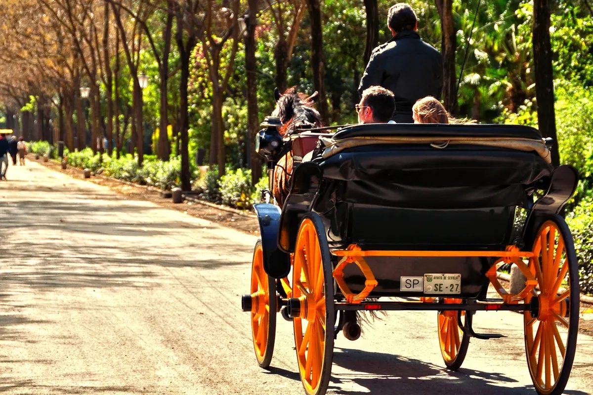 Foto 2 de Paseo en coche de caballos por Sevilla