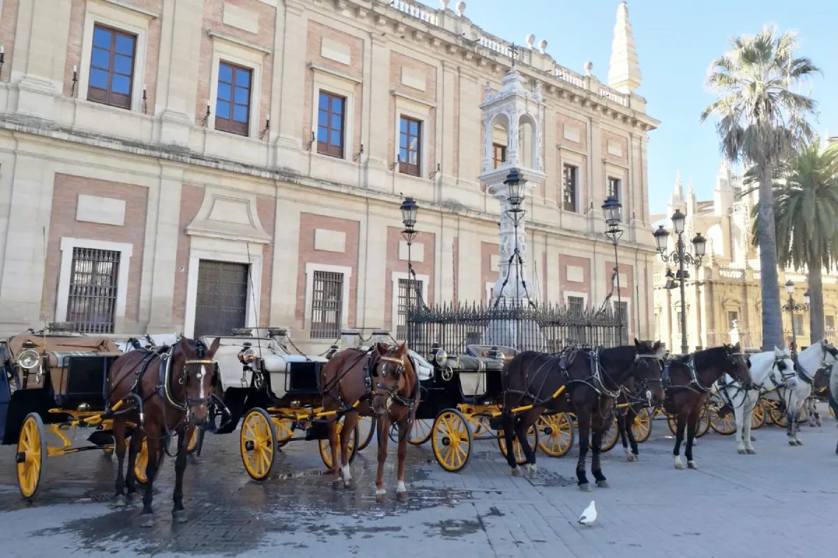 Foto 3 de Paseo en coche de caballos por Sevilla