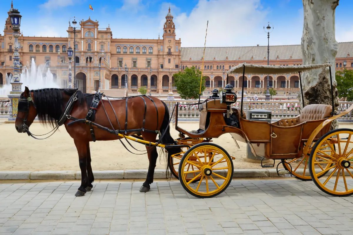 Foto 5 de Paseo en coche de caballos por Sevilla