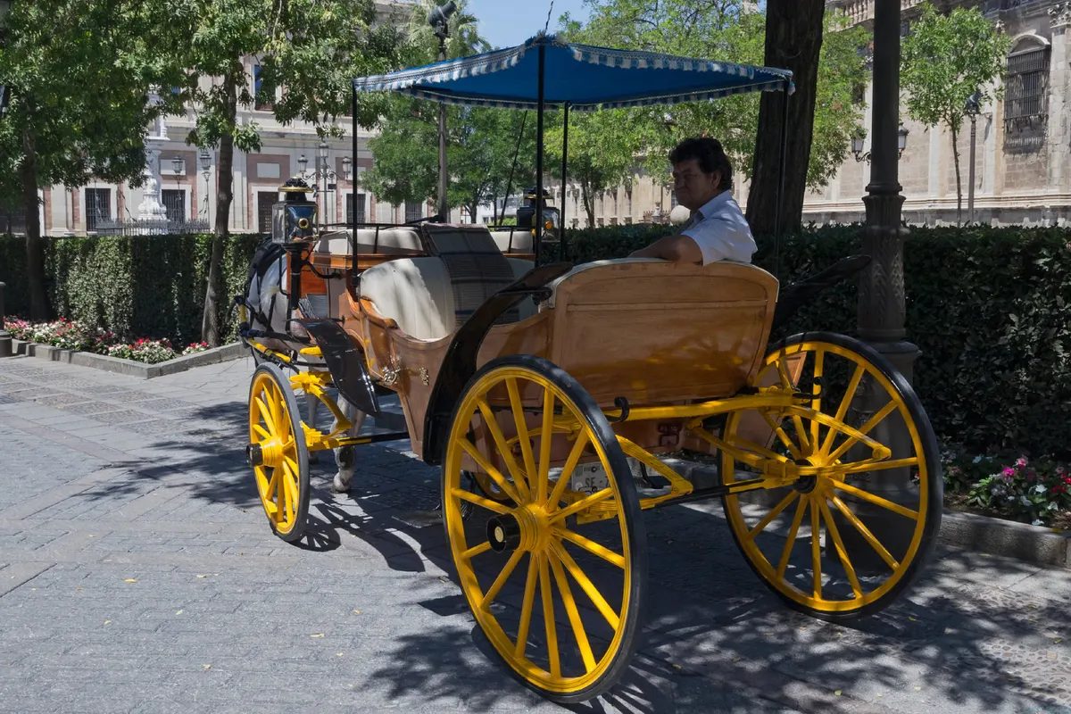 Foto 6 de Paseo en coche de caballos por Sevilla