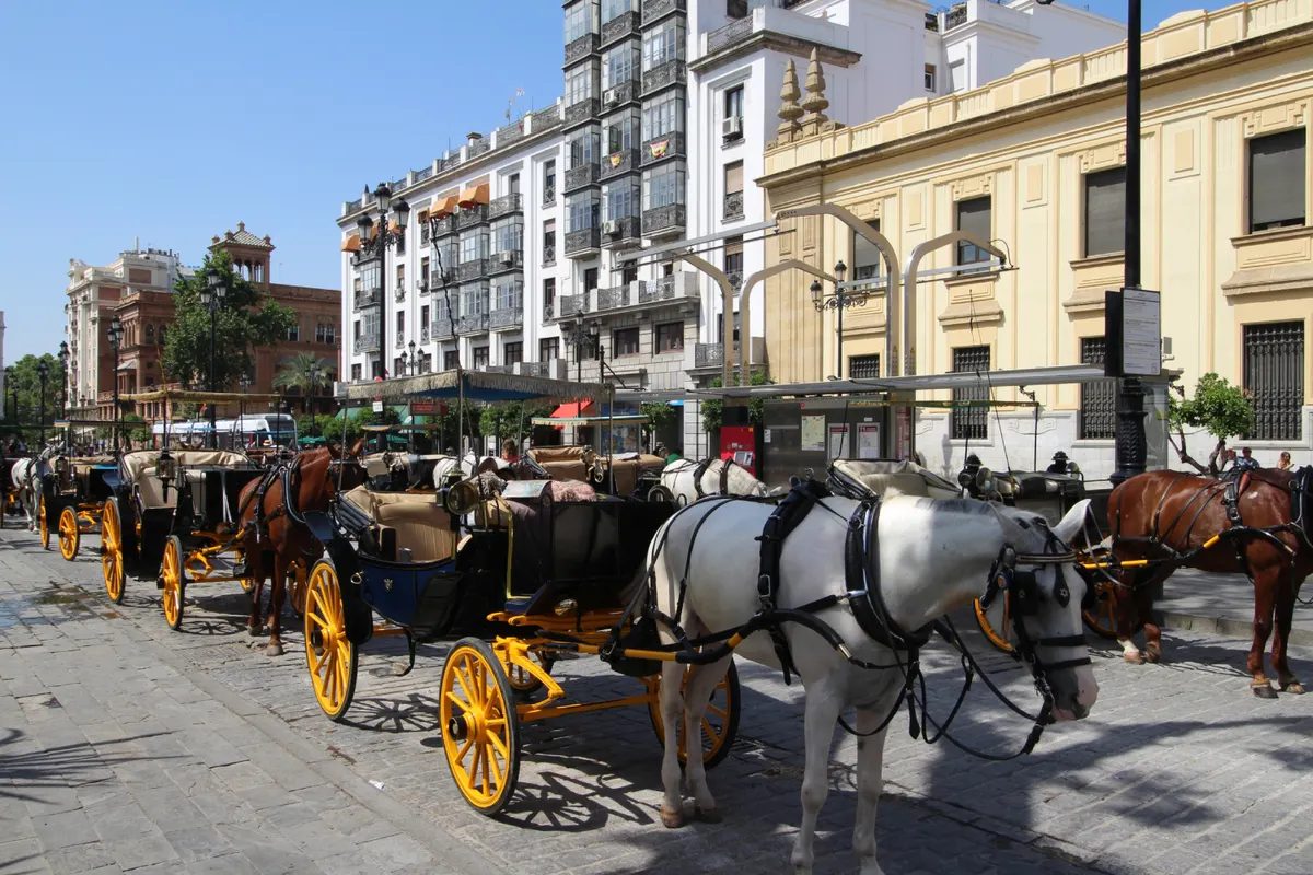 Foto 9 de Paseo en coche de caballos por Sevilla