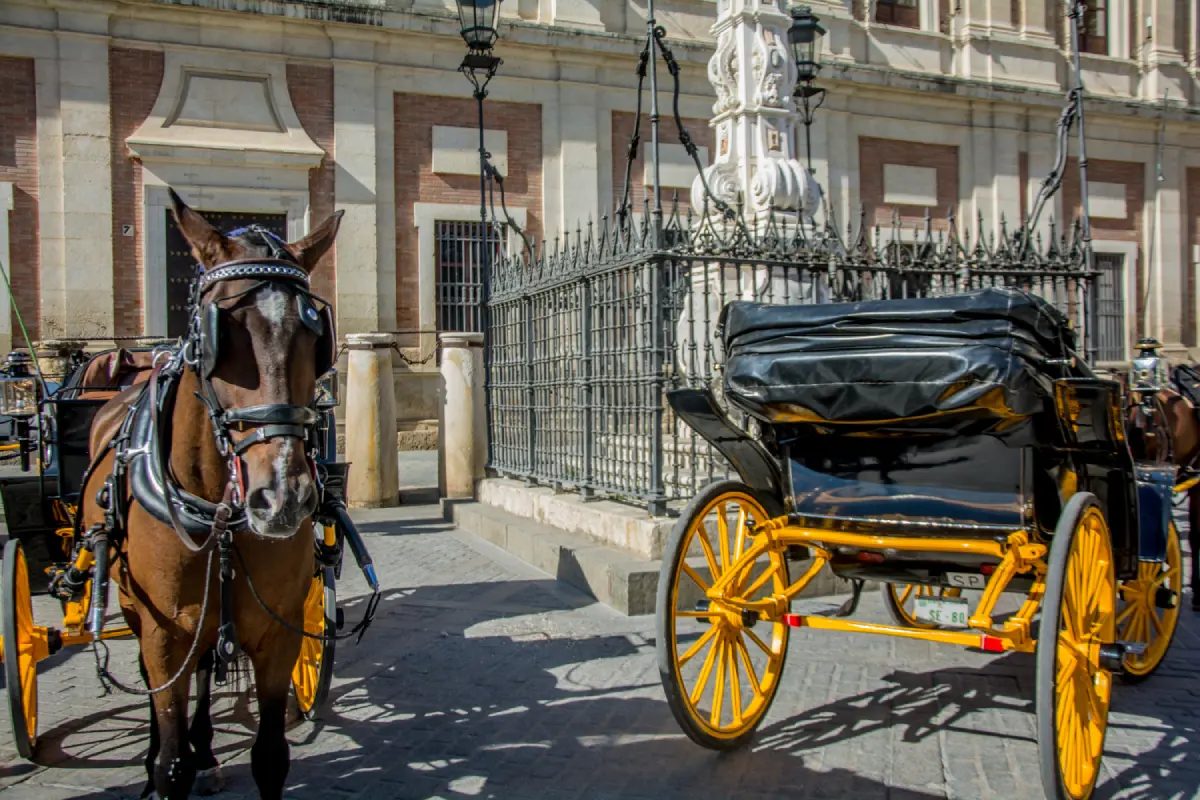 Foto 7 de Paseo en coche de caballos por Sevilla