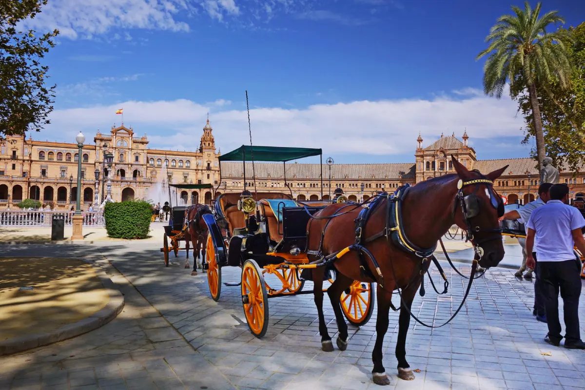 Foto 10 de Paseo en coche de caballos por Sevilla