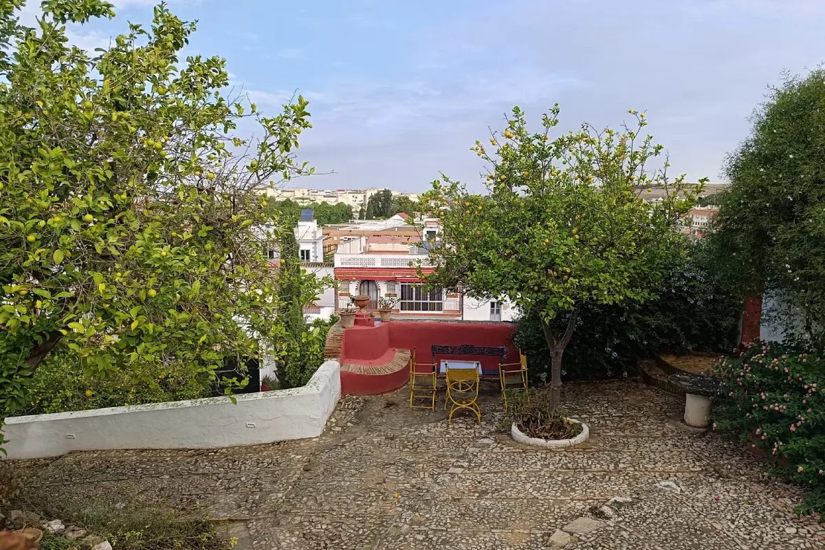 Foto 7 de Visita a las Bodegas Halcón en Lebrija (Sevilla)