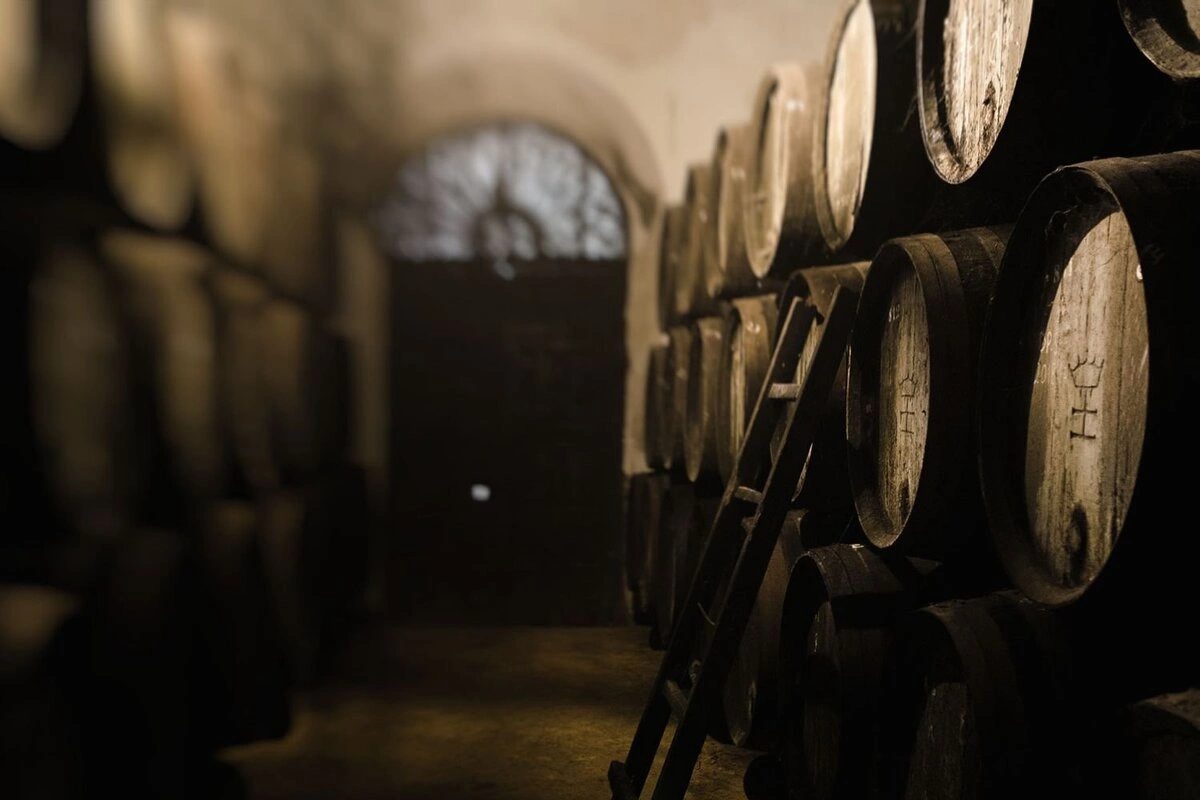 Foto 10 de Visita a las Bodegas Halcón en Lebrija (Sevilla)
