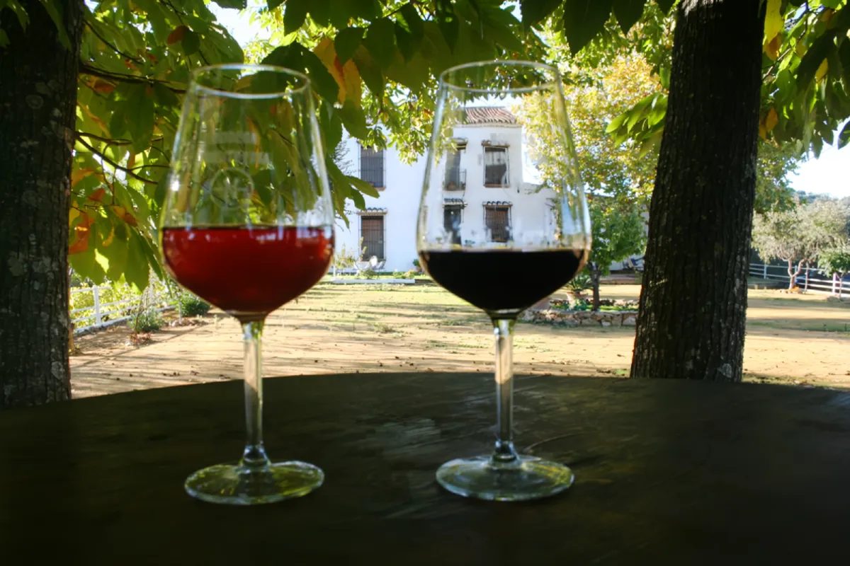 Foto 5 de Enoturismo en la Sierra Norte de Sevilla