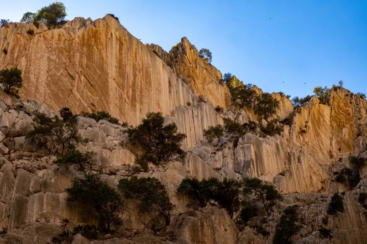 Foto 10 de Visita el Caminito del Rey