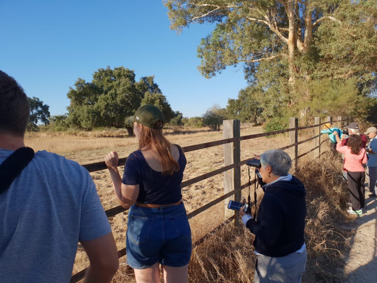 Ruta en 4×4 por el norte de Doñana