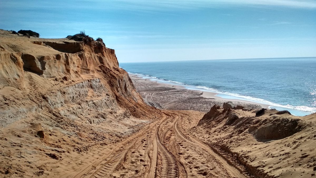 Foto 5 de Ruta 4×4 Zona Sur Doñana