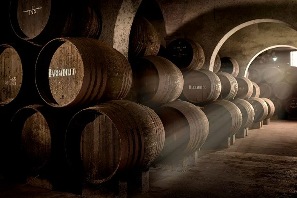 Bodegas Barbadillo: Visita Guiada con Degustación de Vinos Incluida en Cádiz