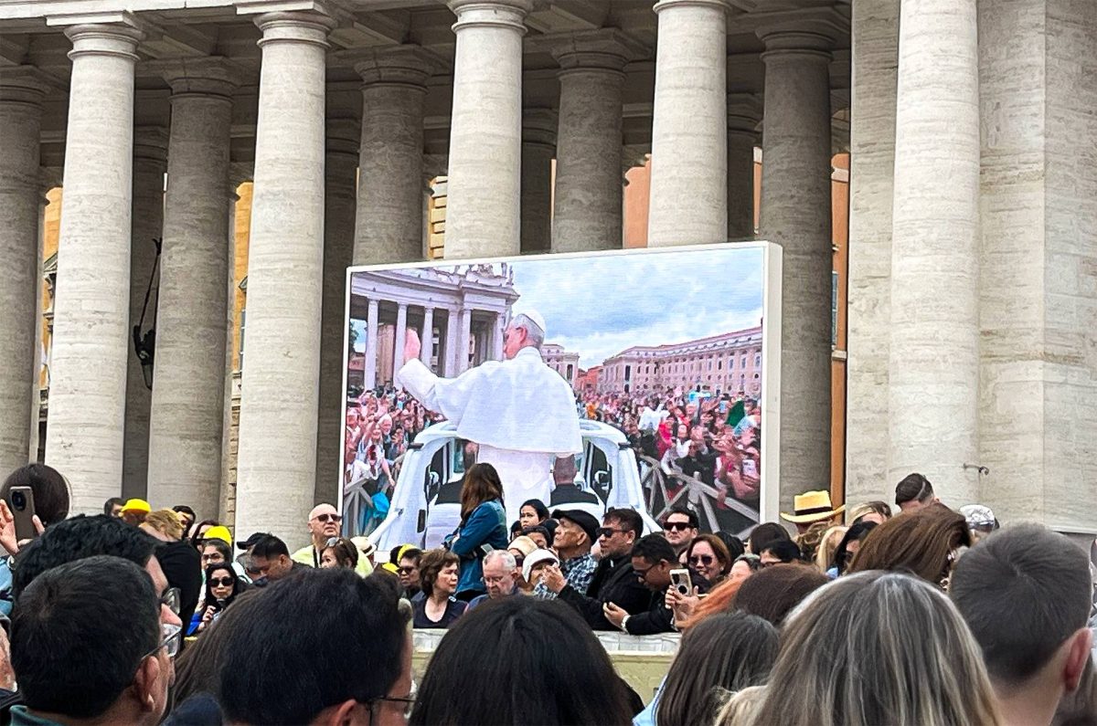 Foto 2 de Audiencia Papal: Experiencia Guiada