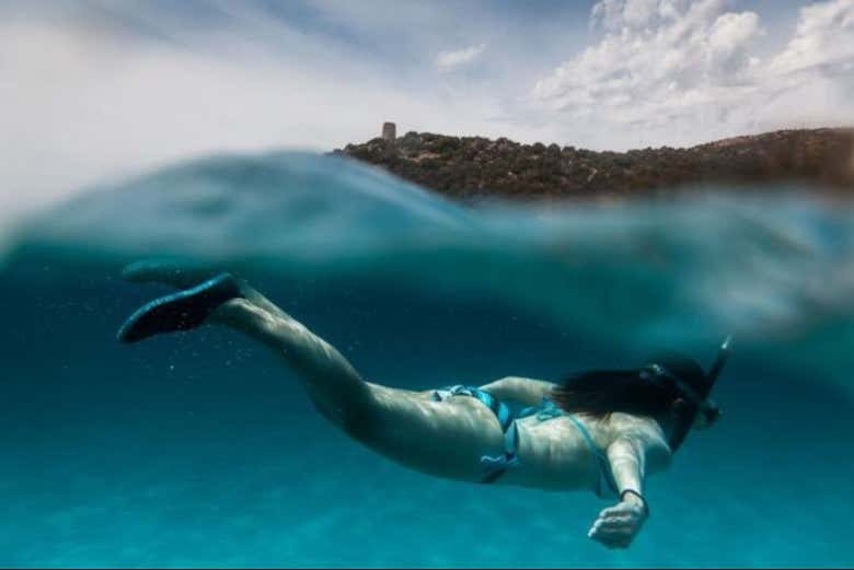 Snorkel en la Reserva Marina de Cabo Tiñoso