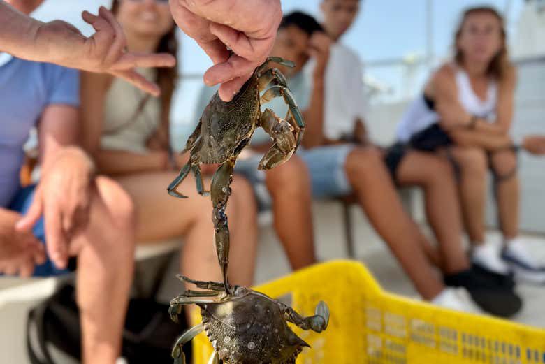 Pesca en el Mar Menor