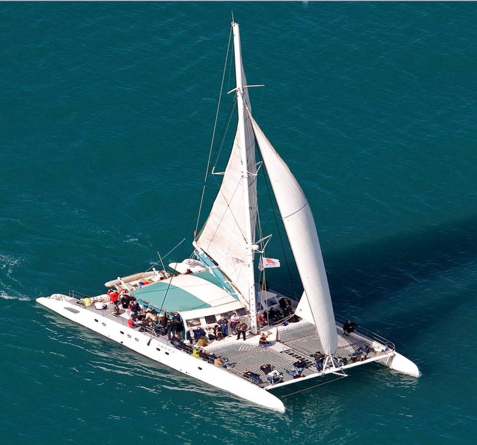 Foto 6 de Excursión en catamarán desde Málaga
