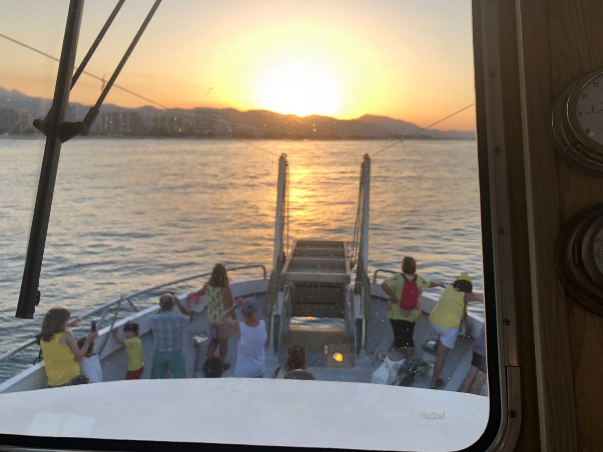 Foto 7 de Puesta de sol en catamarán desde Málaga