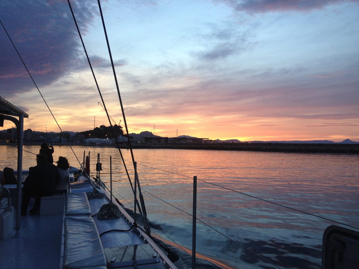 Foto 5 de Puesta de sol en catamarán desde Denia