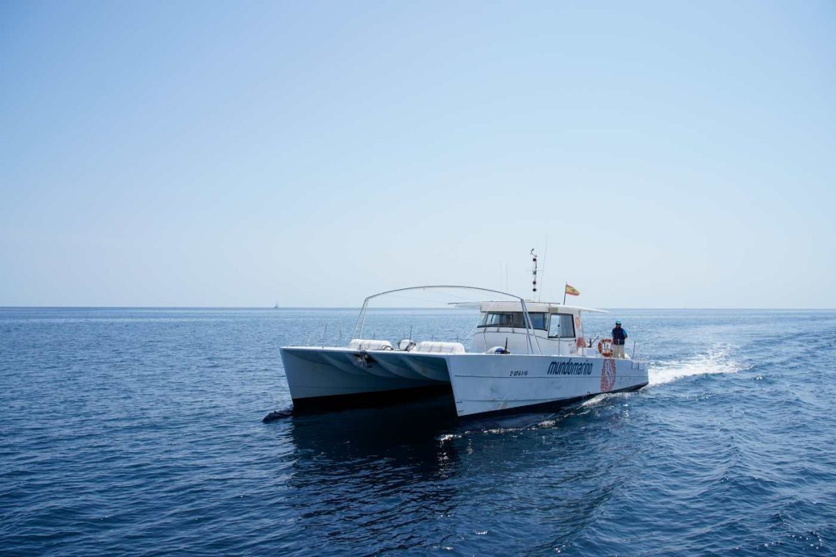 Excursión con baño en los cabos de la Costa Blanca - Denia