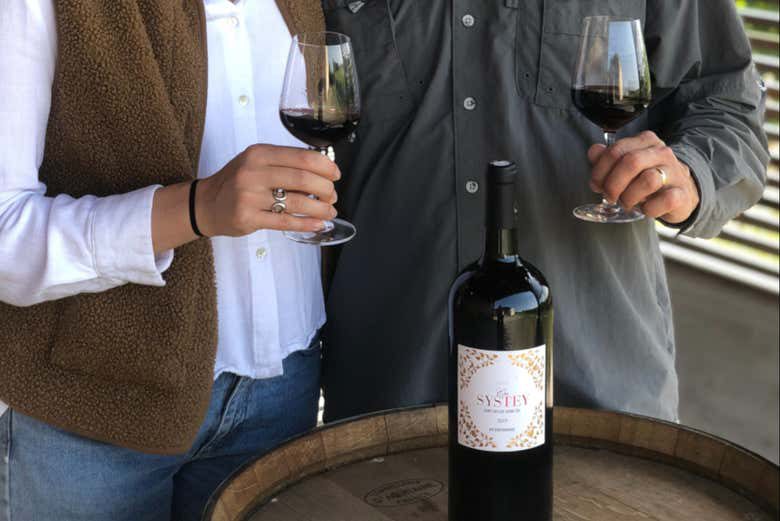 Visita al Château Clos Systey