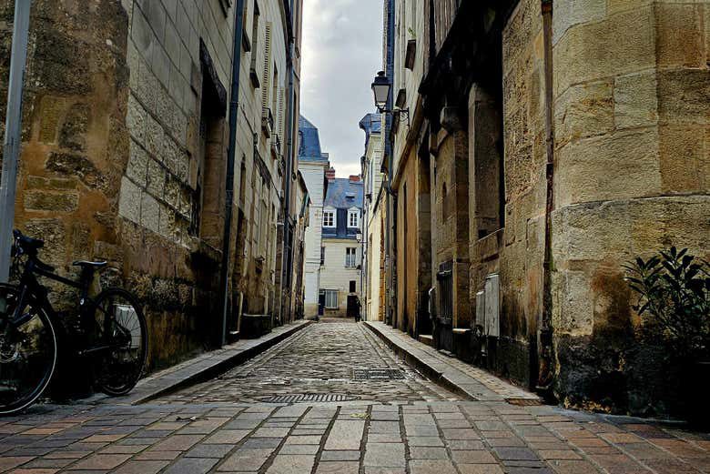 Visita guiada por la ciudad de Tours