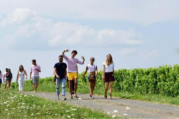 Visita a un viñedo de Saumur