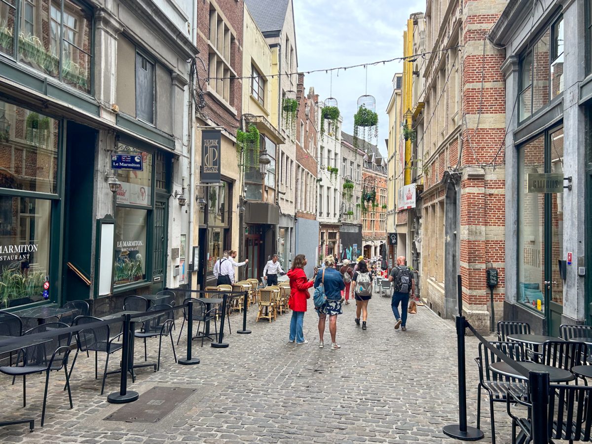 Foto 6 de Bruselas y Brujas desde Ámsterdam